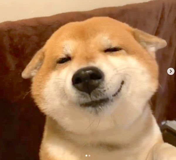 ヒコーキ耳になるHanaちゃん