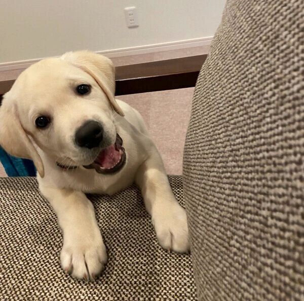 笑顔が可愛いイソくん