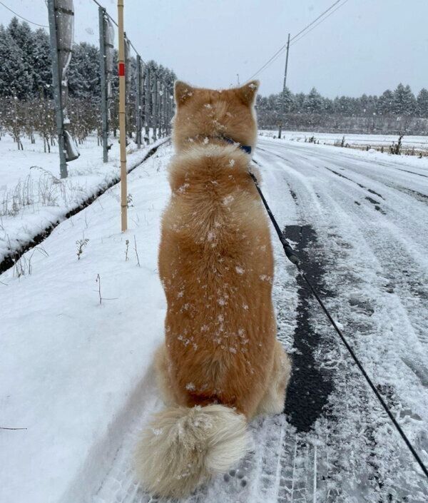 「帰りたくない」と粘るまるくん