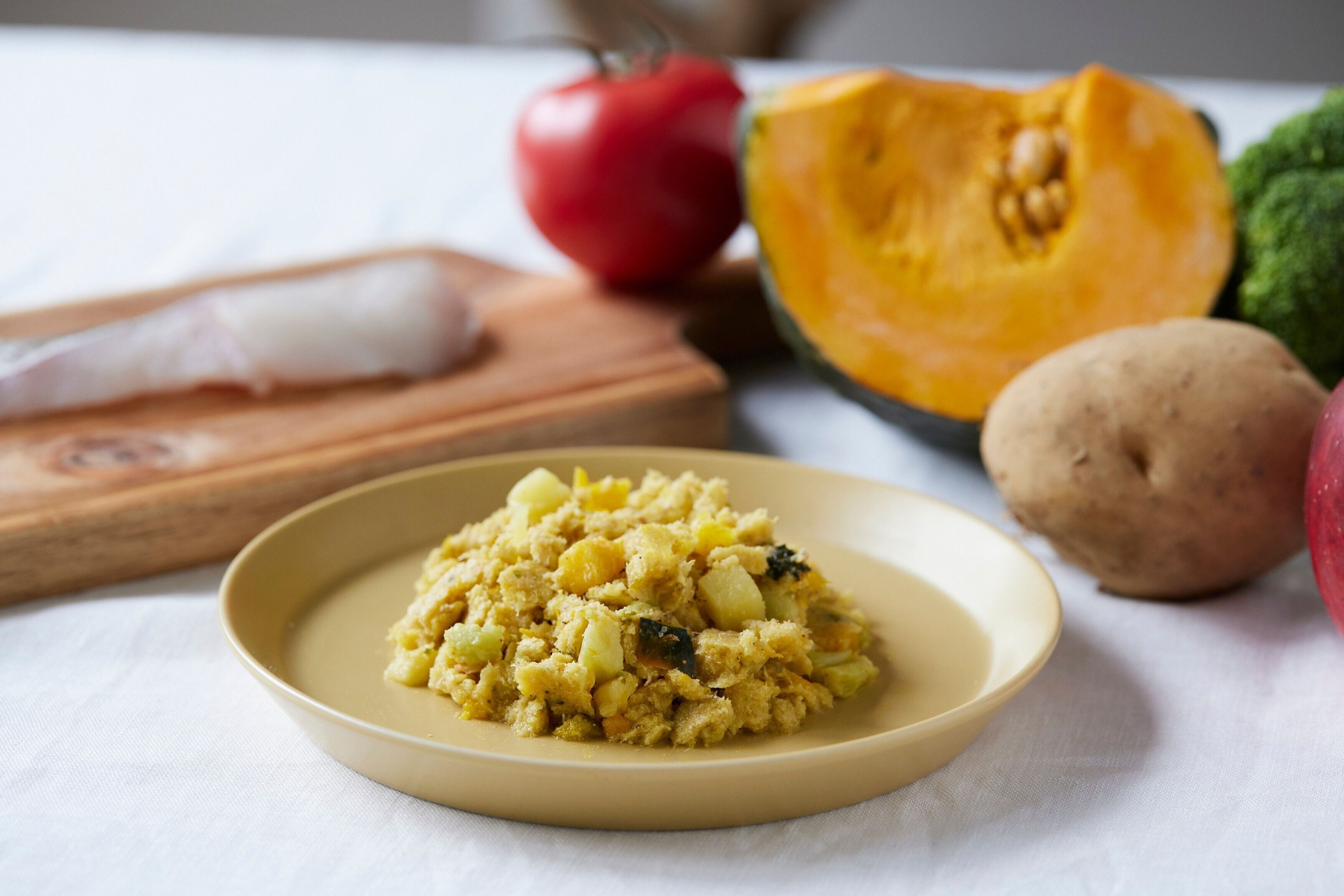 フレッシュペットフード　ココグルメ　フィッシュ＆パンプキン