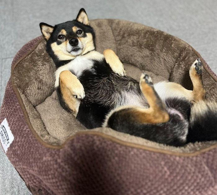 3才のころに撮影したななちゃん