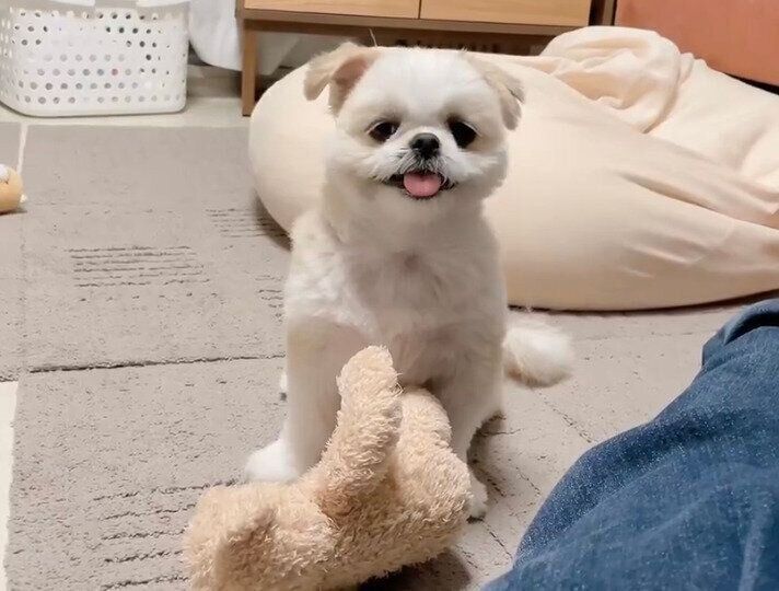 ニコニコするミカンちゃん