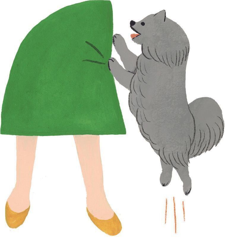 イラスト／macco