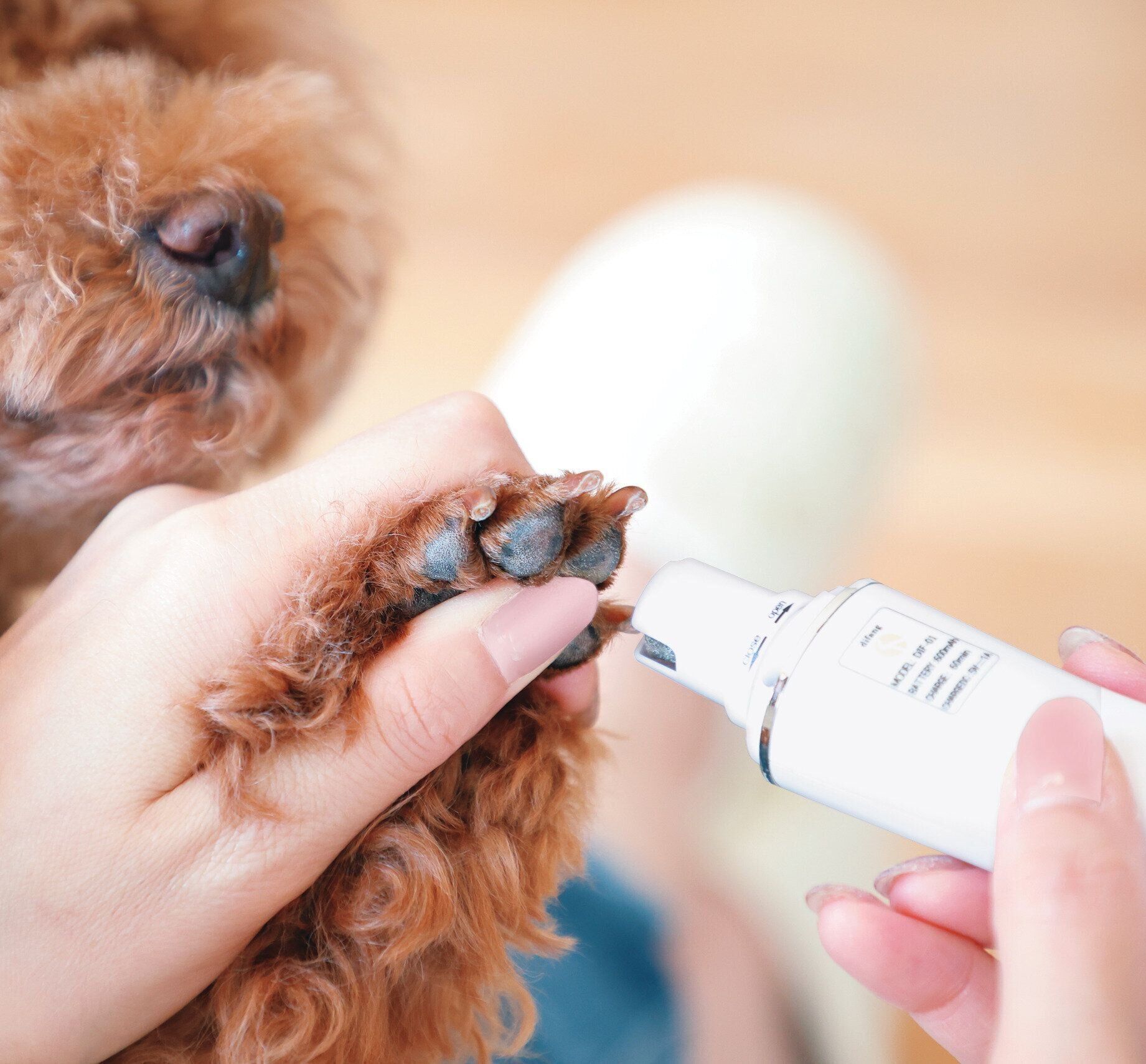 電動爪やすりを使ったケア