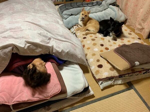 仲良く眠るおばあちゃん、ターシャちゃん、ハチちゃん