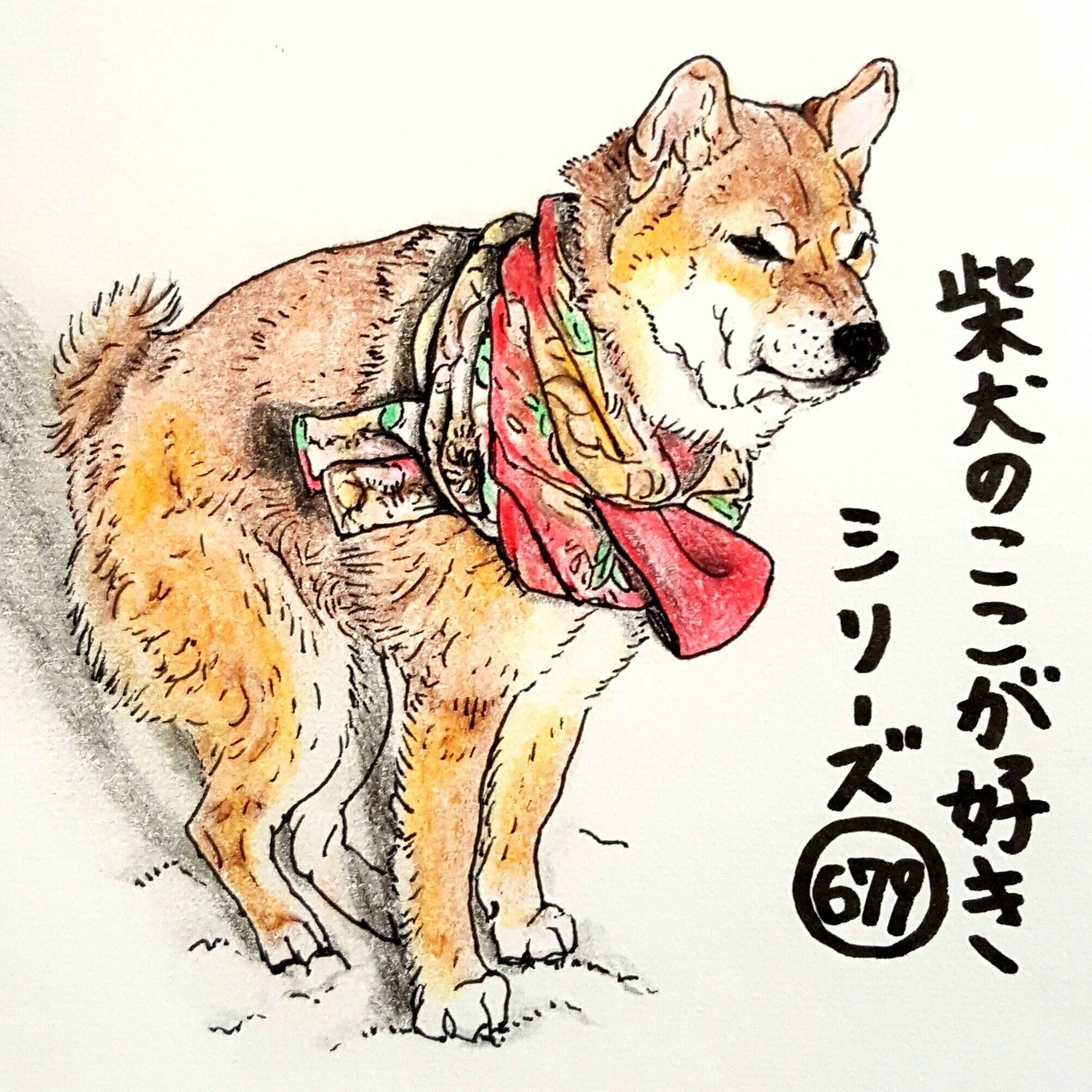 柴犬あるある 雪の上では 中腰 になってしまうこと 連載 ここ掘れここ柴 Vol 79 いぬのきもちweb Magazine 柴犬あるある 雪の上では 中腰 になってしまうこと 連載 ここ掘れここ柴 Vol 79 いぬのきもちweb Magazine