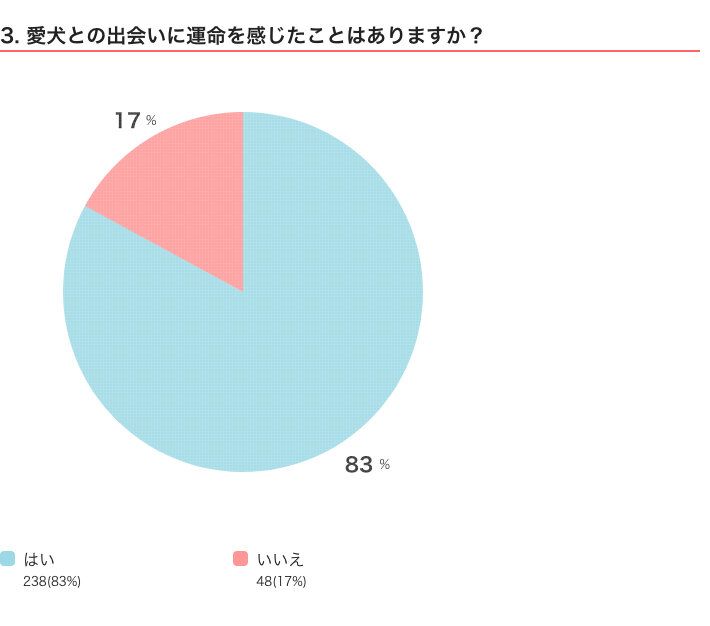 いぬのきもちWEB MAGAZINE　愛犬への思いに関するアンケートvol.01