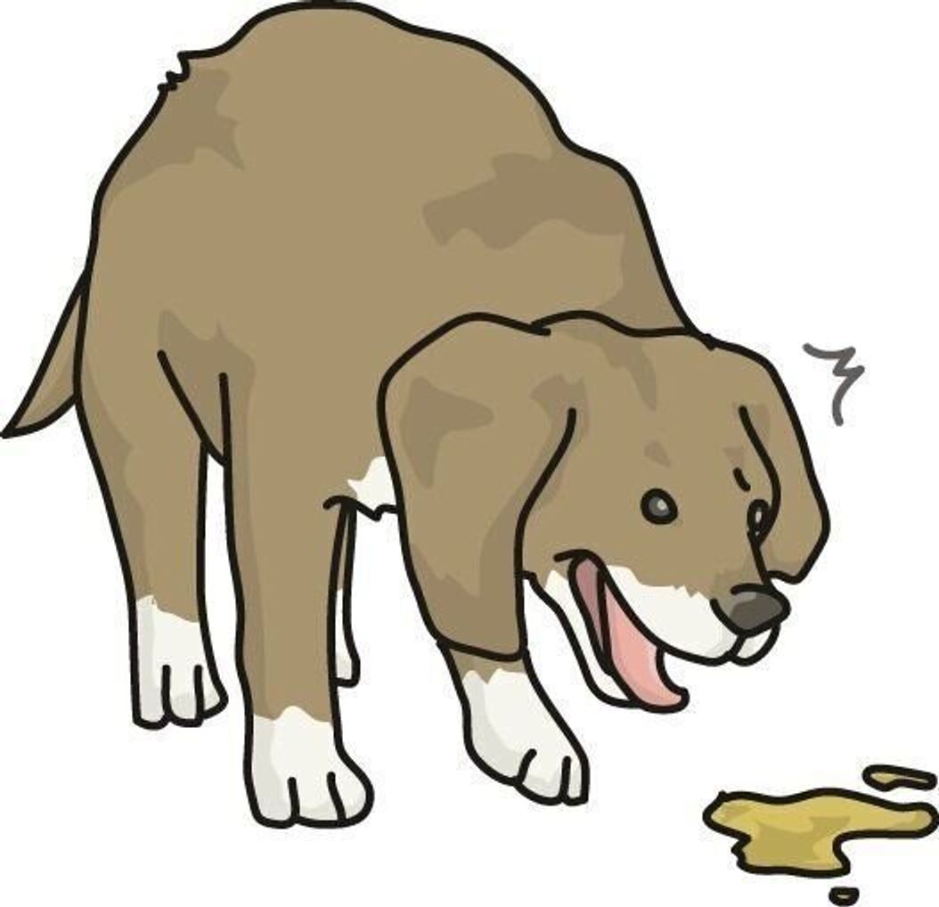 犬がゴハンを食べ残す 食べるのが遅くなった それって 病気のサインかも いぬのきもちweb Magazine 犬がゴハンを食べ残す 食べるのが遅くなった それって 病気のサインかも いぬのきもちweb Magazine