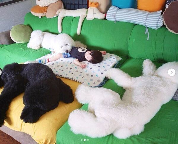 りっくん、くぅさん、がっくんに囲まれて眠るむぎくん