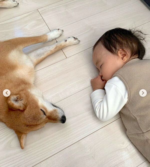 キッチンで寝落ちしてしまった花子ちゃんとモモ子ちゃん