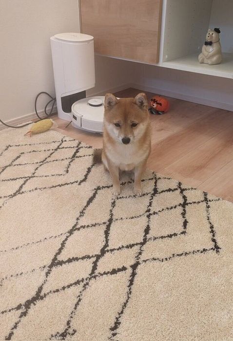 月曜日にしょぼくれる福ちゃん