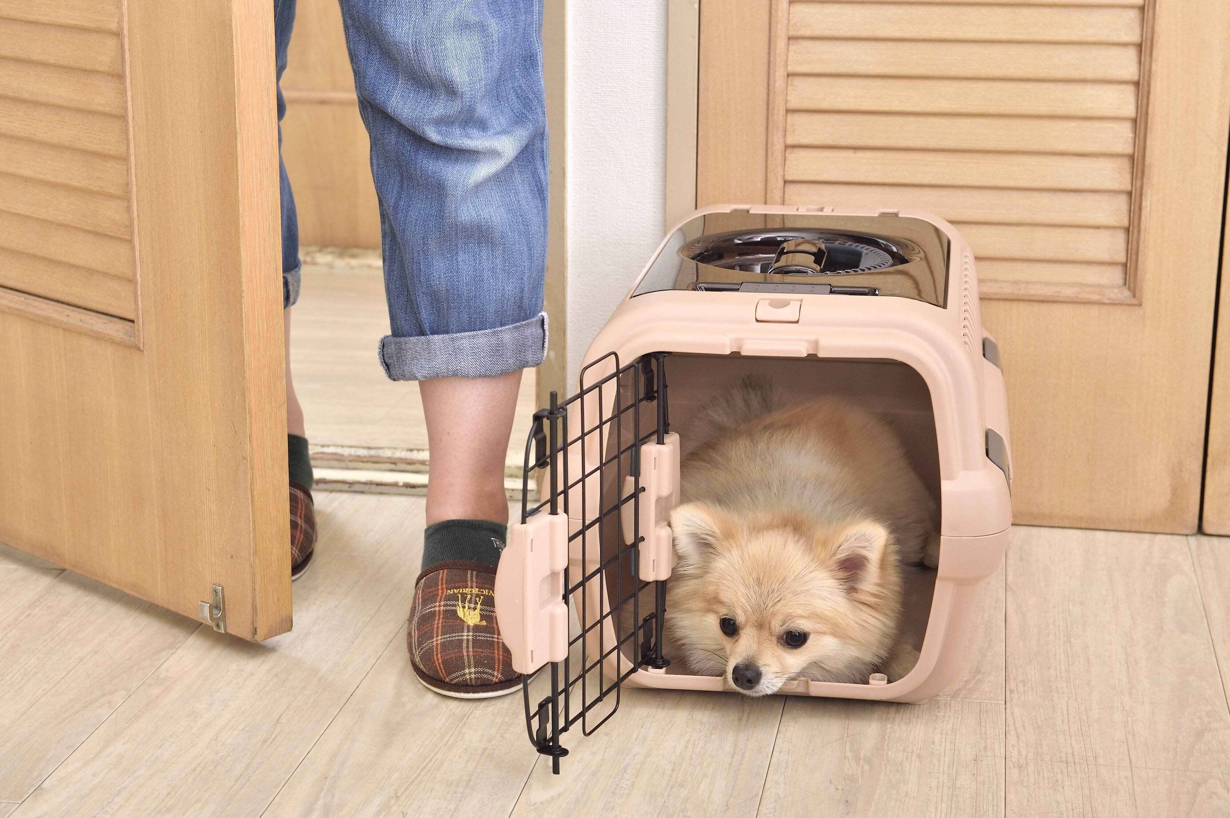 出入り口の近くは落ち着かないのでNG（写真／佐藤正之）