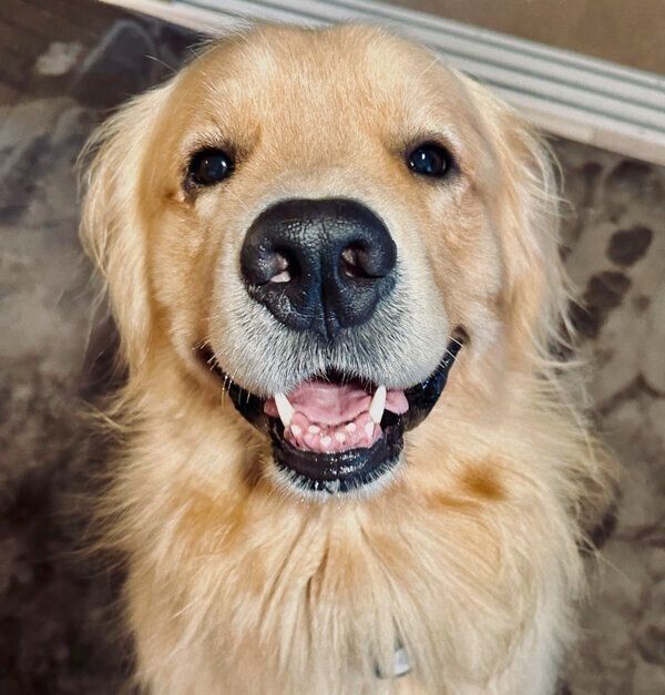 笑顔が可愛いアルフくん