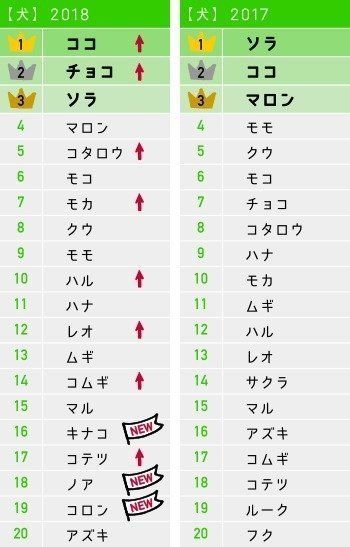 愛犬のお名前ランキング2018・2017