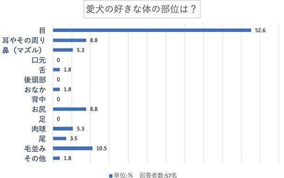 愛犬の好きな体の部位は?