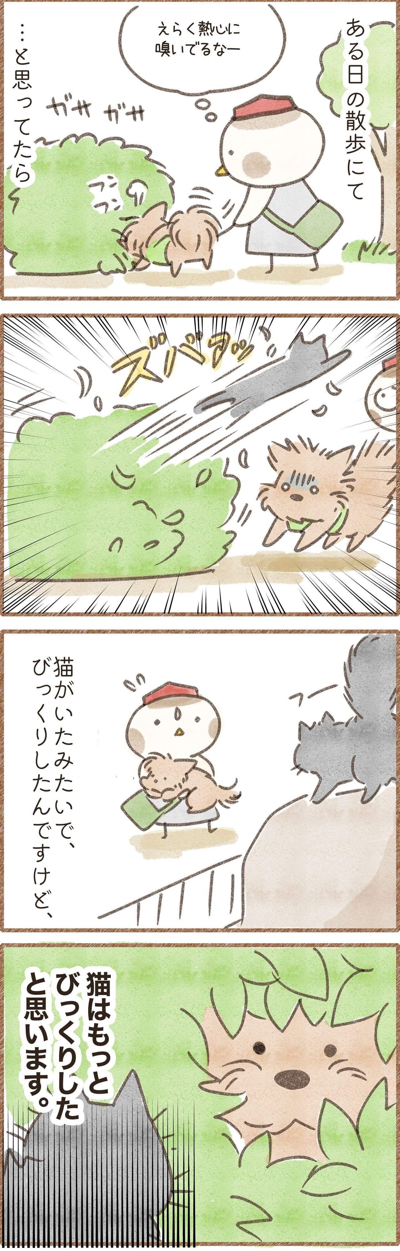 猫が飛び出してきてびっくりする犬のマンガ