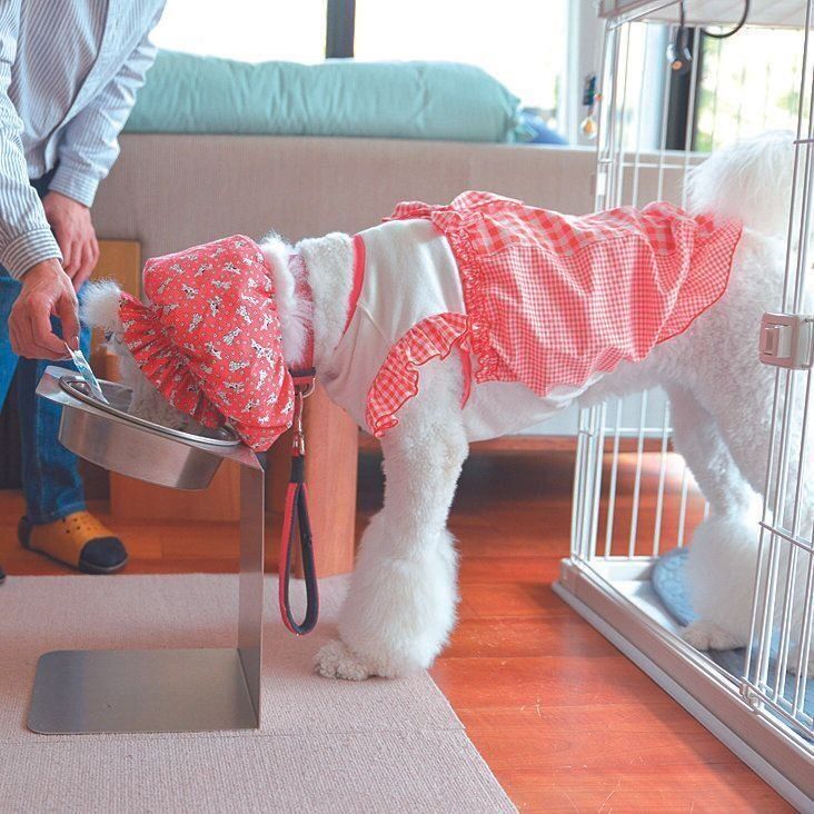 撮影／犬丸美絵