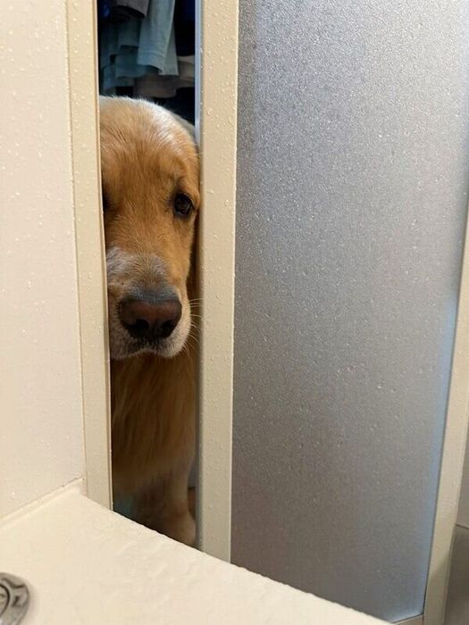 長風呂を心配するルークくん