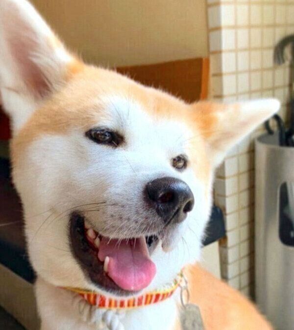 笑顔のジロウちゃん