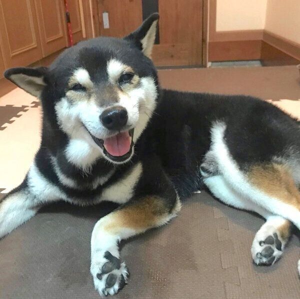 笑顔のとらくん