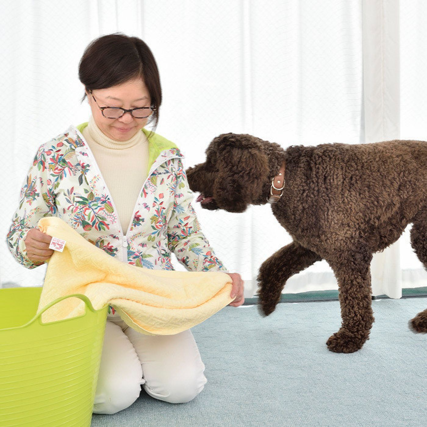 愛犬が興奮しやすいのは飼い主さんの あの行動のせいだった いぬのきもちweb Magazine 愛犬が興奮しやすいのは飼い主さんの あの行動のせいだった いぬのきもちweb Magazine