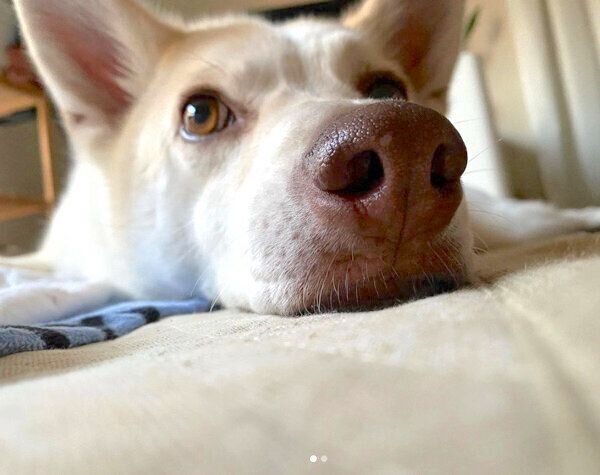 まったりするタクローくん