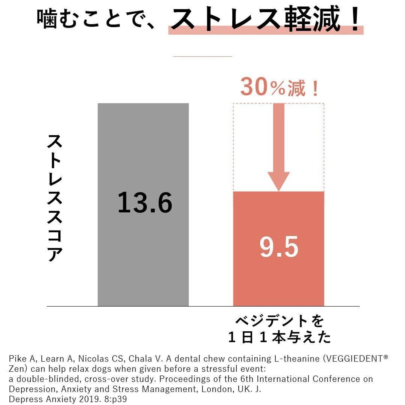 Pr 獣医師が教えます 愛犬のストレスを 噛むこと で軽減する方法 いぬのきもちweb Magazine Pr 獣医師が教えます 愛犬のストレスを 噛むこと で軽減する方法 いぬのきもちweb Magazine