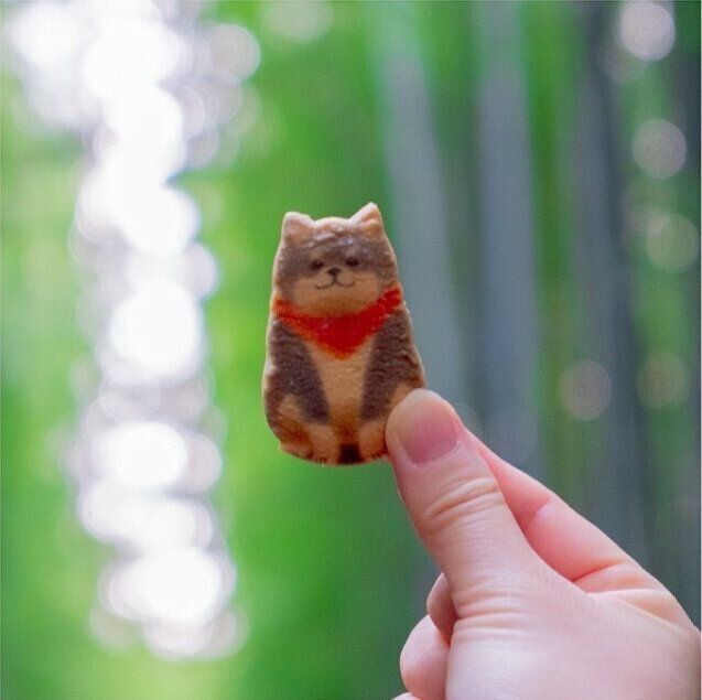 かわいい「京の柴犬くっきー」