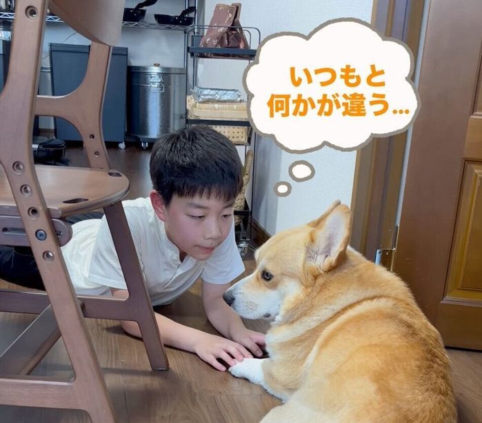 息子さんが1泊2日の学校行事に出発する朝の様子。
