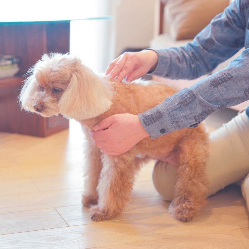 撮影／犬丸美絵