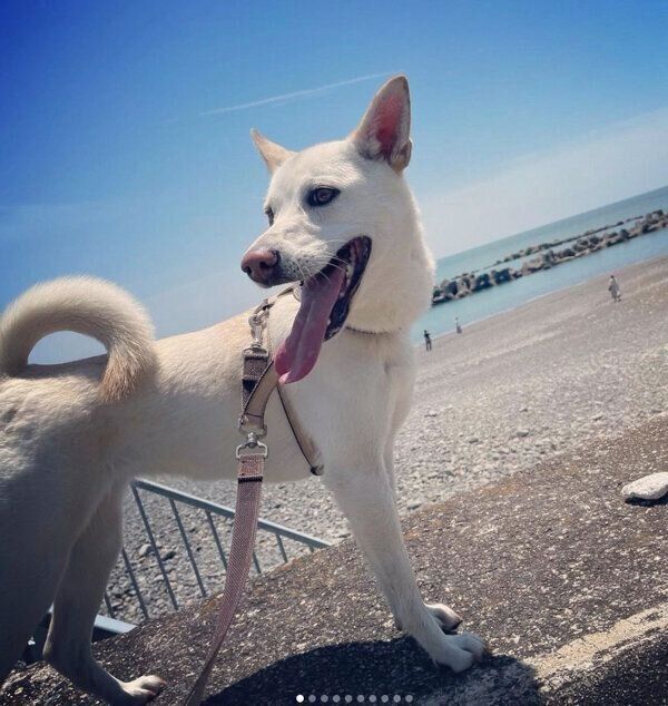 お出かけを楽しむチルちゃん