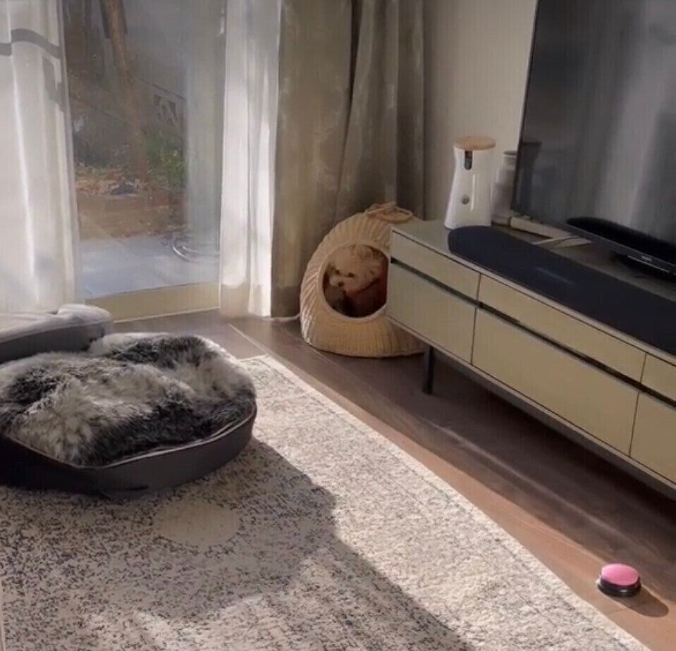 自分のハウスでほっと一息つくくるみたん