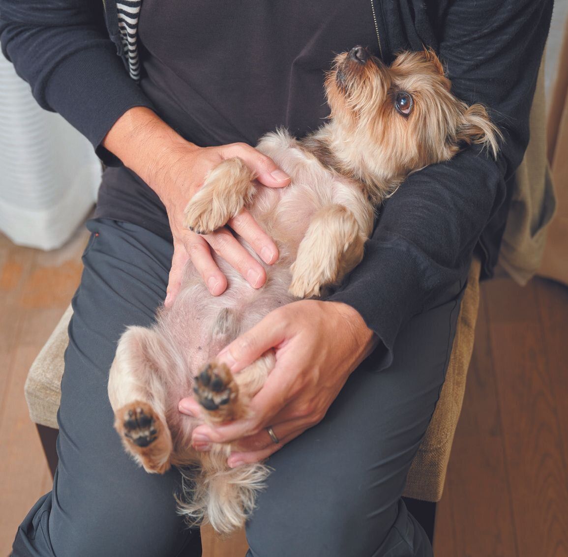 あおむけ、うつぶせのあと、顔まわりや足先までくまなく異常がないか確認