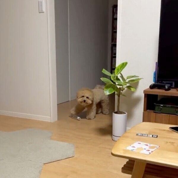 葛藤するポテチくん