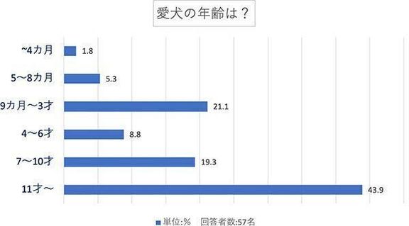 愛犬の年齢は?
