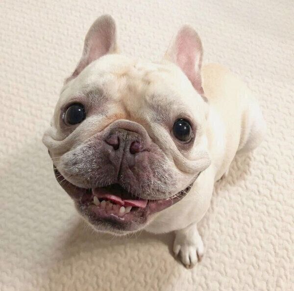 笑顔の三郎くん