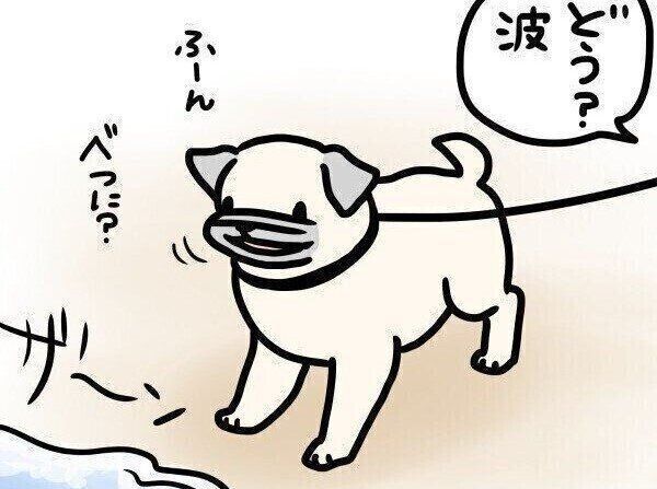 【連載】パグ犬・めー vol.107