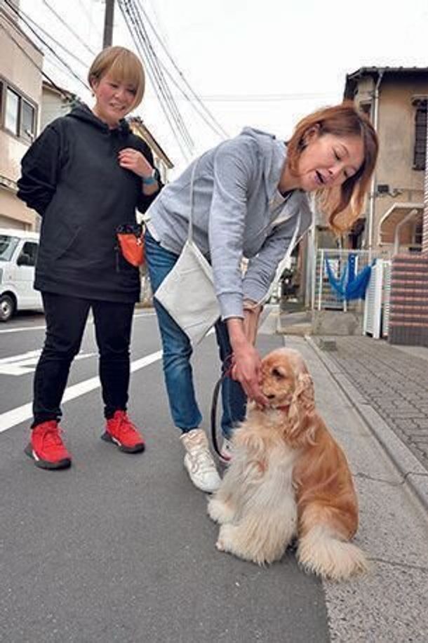 おやつの与え方をマスターすれば 愛犬の吠えグセ は直せる いぬのきもちweb Magazine おやつの与え方をマスターすれば 愛犬の吠えグセ は直せる いぬのきもちweb Magazine