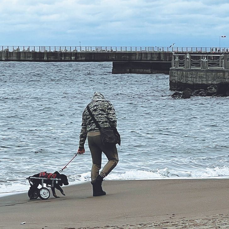 撮影／田尻光久