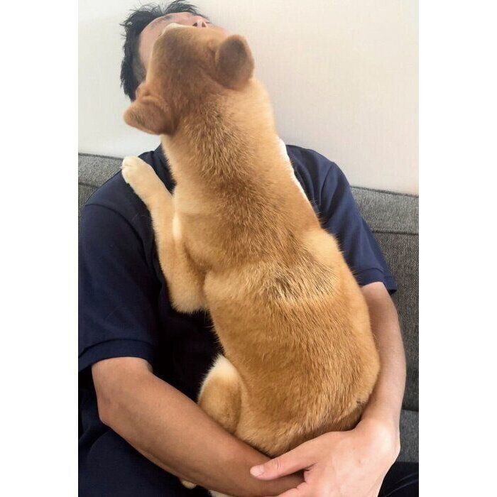 現在の会長さん