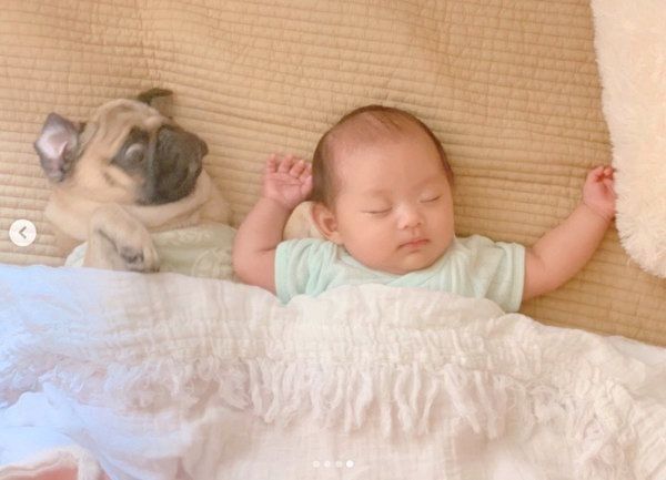 添い寝するパグと妹ちゃん