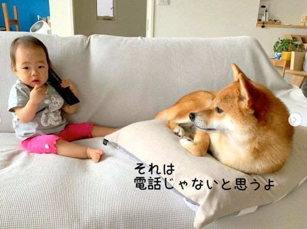 ソファでくつろぐ柴犬の花子ちゃんと女の子