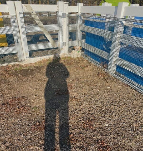 隅っこで小さくなるこむぎくん