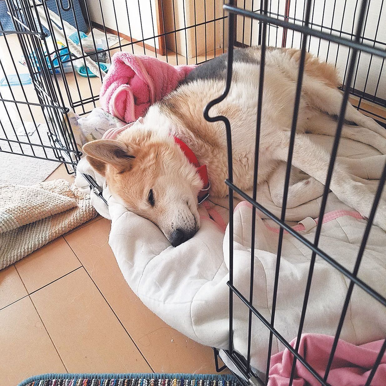 写真提供／S.M.さん