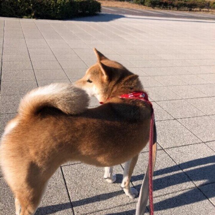 Yg5zxtaxutwcem Yg5zxtaxutwcem