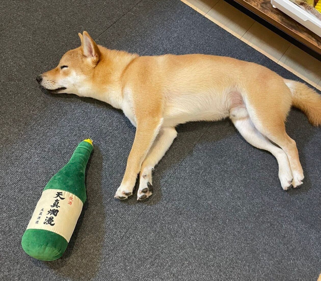 「酒瓶のぬいぐるみ」と眠っているぼんたんくん