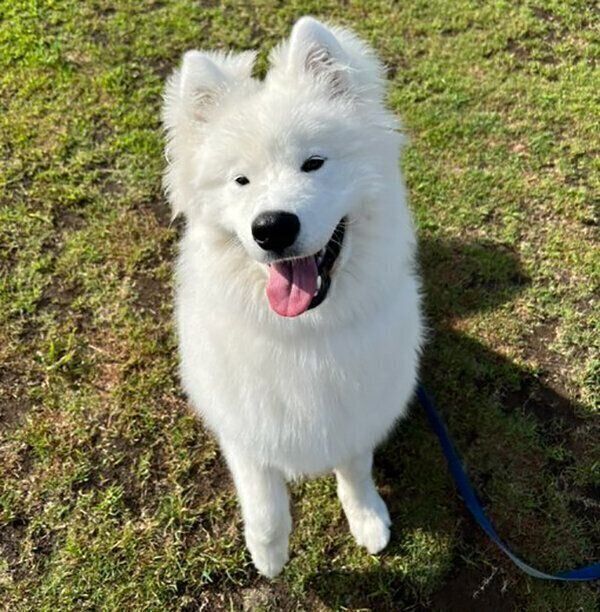 笑顔のとうふくん