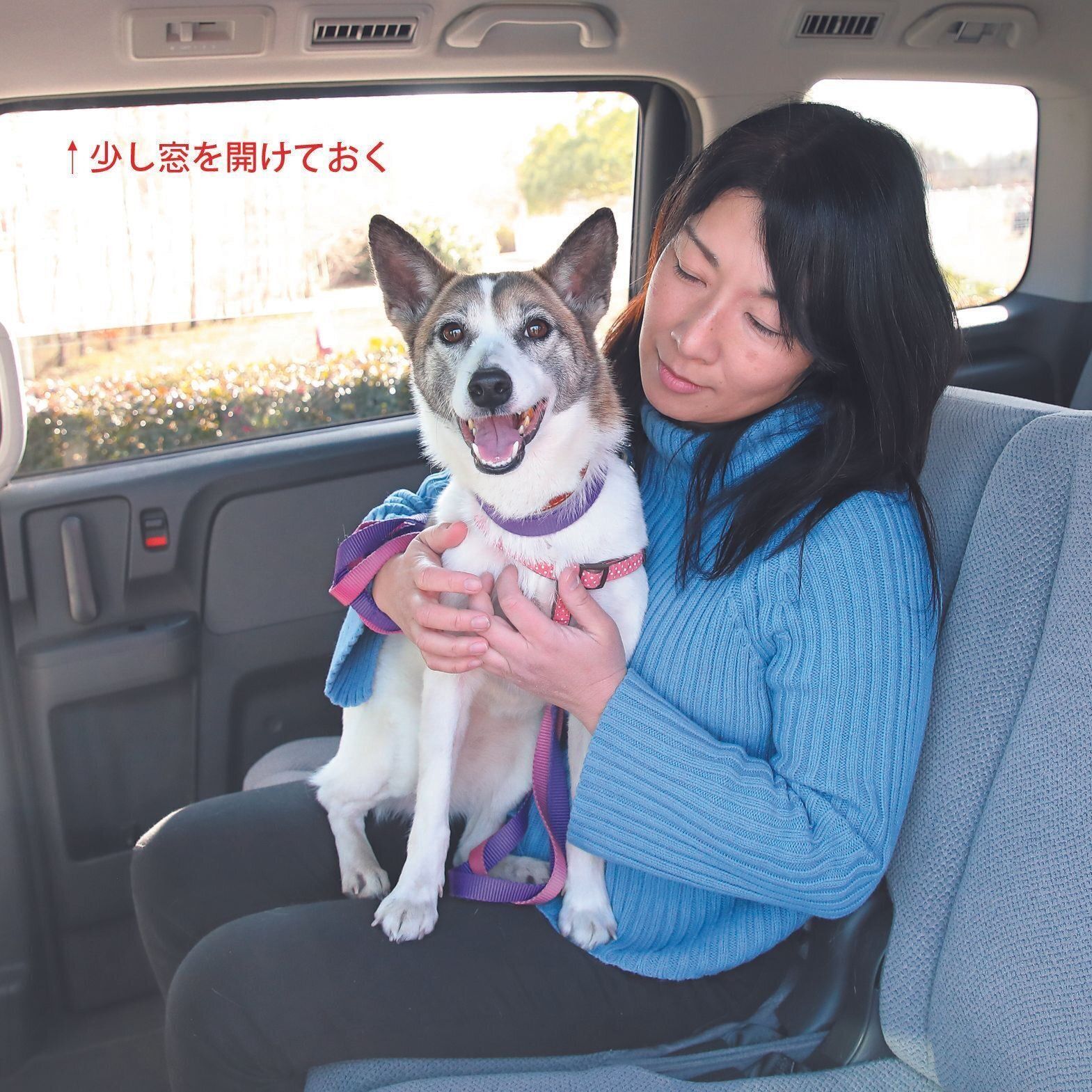 車酔いしないように窓を少し開けた状態で、車内でいっしょにくつろいだり、おもちゃで遊んだり、おやつを与えたりして、車に対していい印象を与えましょう