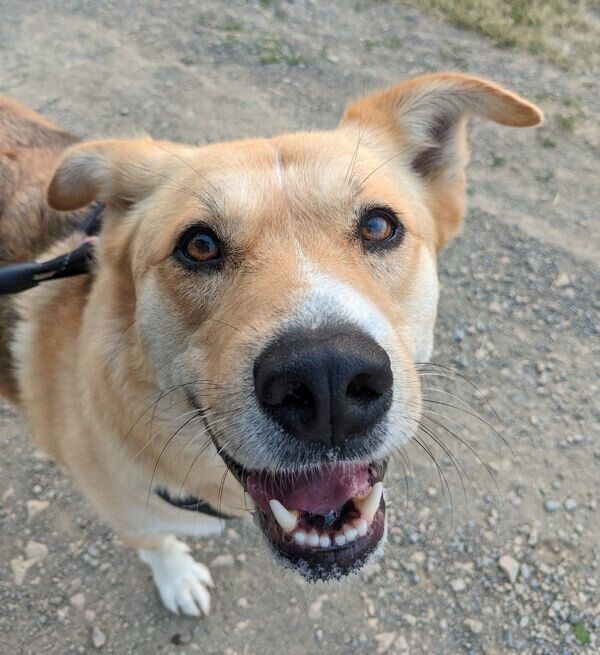 笑顔が可愛い幸子ちゃん