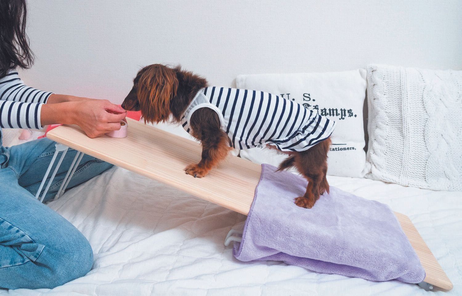 後ろ足に重心がいくように、専用ボードの上でゴハンやおやつを与える